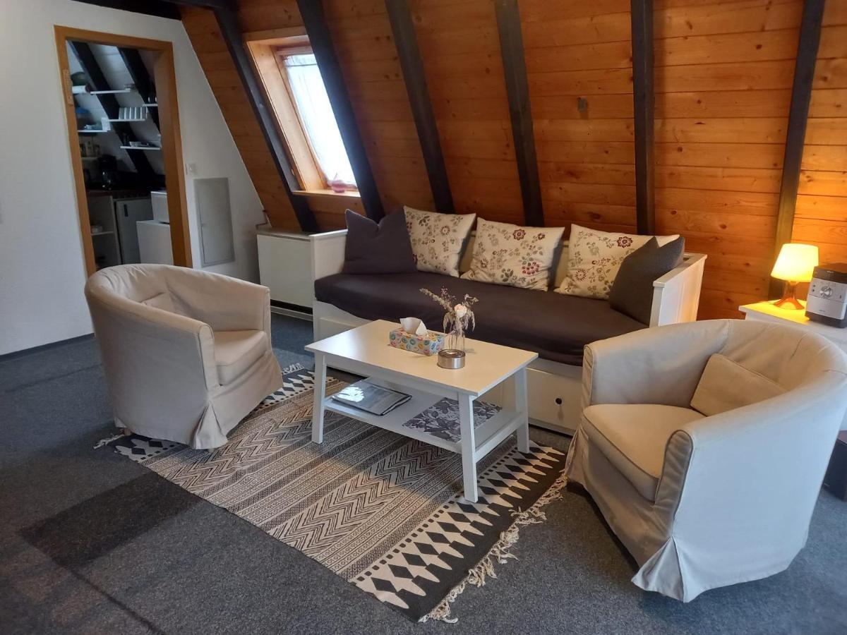 Gemuetliches Ferienhaus Mit Sonniger Terrasse Frankenwald Naehe Badesee Smart-Tv Lichtenberg  Dış mekan fotoğraf