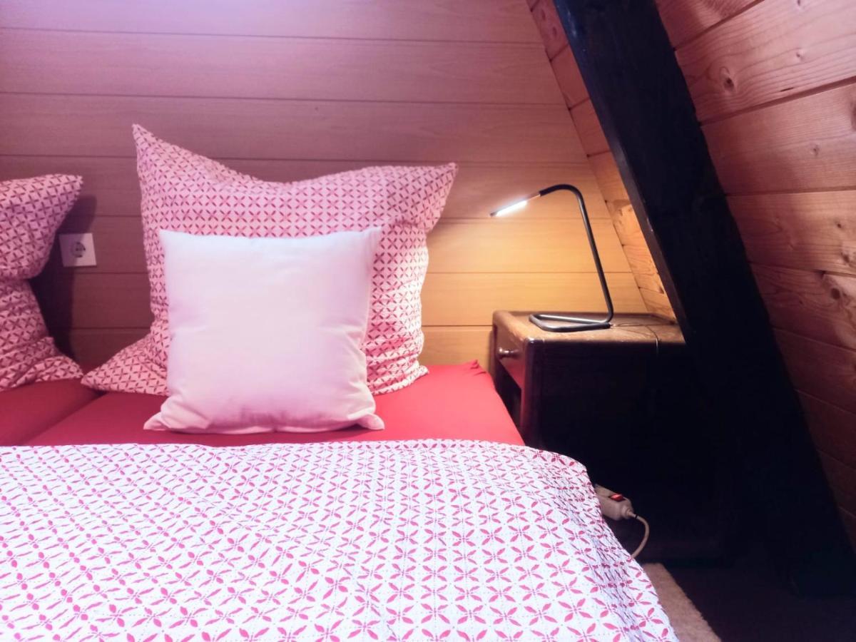 Gemuetliches Ferienhaus Mit Sonniger Terrasse Frankenwald Naehe Badesee Smart-Tv Lichtenberg  Dış mekan fotoğraf